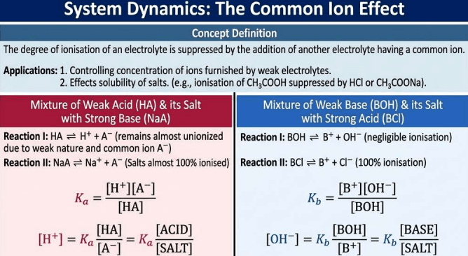 Equilibrium (Class 11) - Image 3