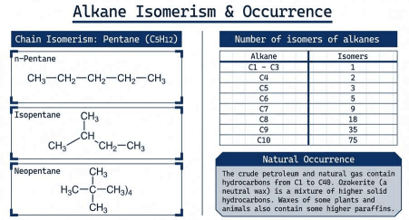 Hydrocarbons (Class 11) - Image 3