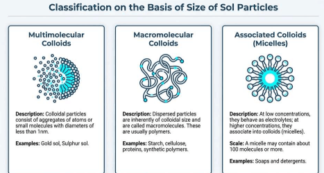 Surface Chemistry (Class 12) - Image 3